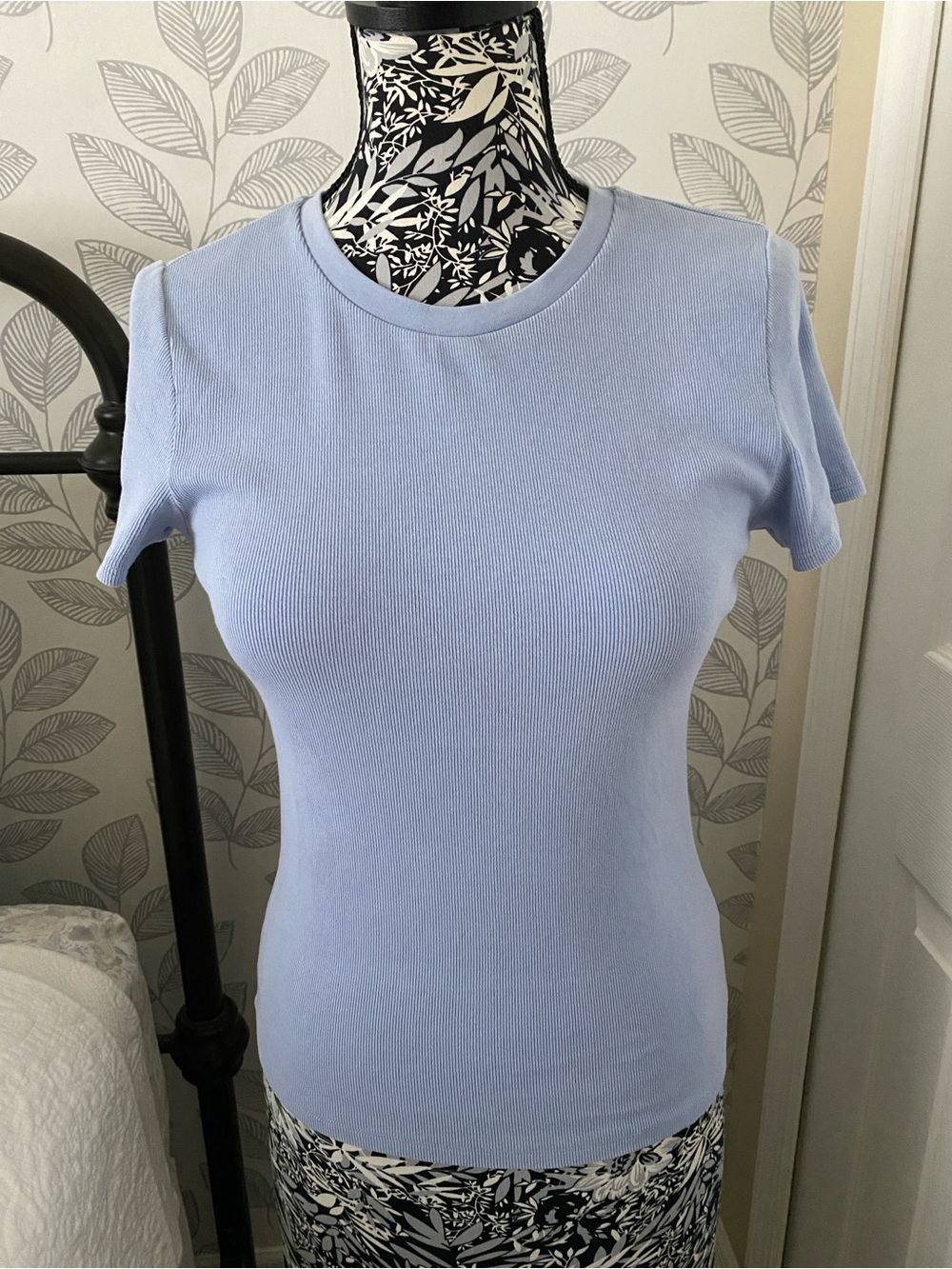 Aritzia HomeStretch™ Rib Tune
Stretchy ribbed cotton t-shirt Light Blue - Picture 2 of 9